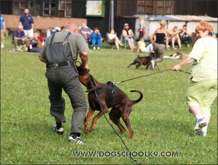 Training camp - Lukova 2007